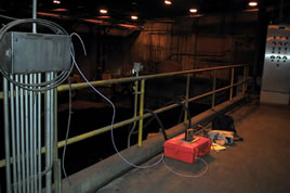 thumbnail image for NY Organic Fertilizer Co.