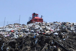 thumbnail image for Brockton Landfill