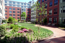 thumbnail image for Renovated Luxury Condominiums