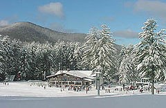 thumbnail image for Berkshire East Ski Resort