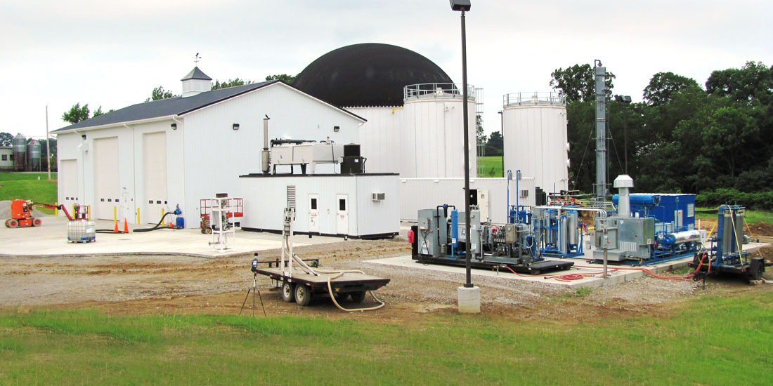 Dairy Farm